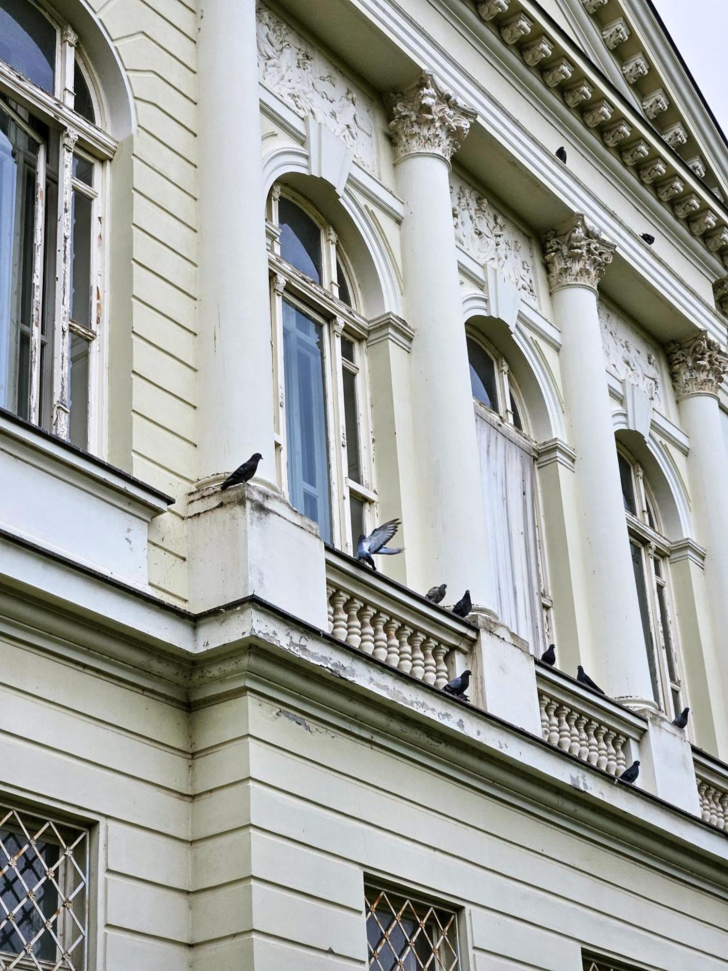 Roman Apartman Sremska Mitrovica Eksteriør bilde